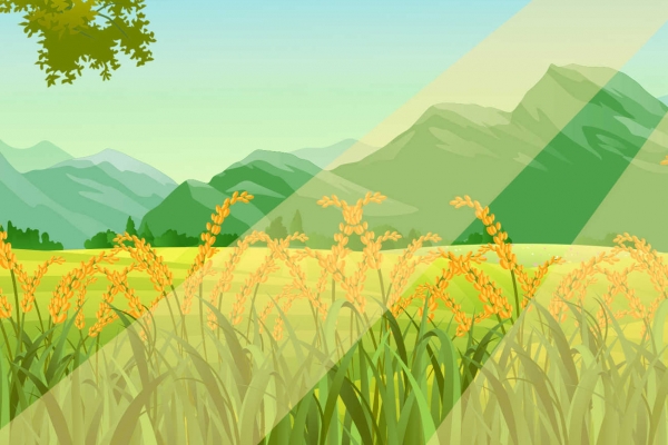 2023幾號(hào)立秋