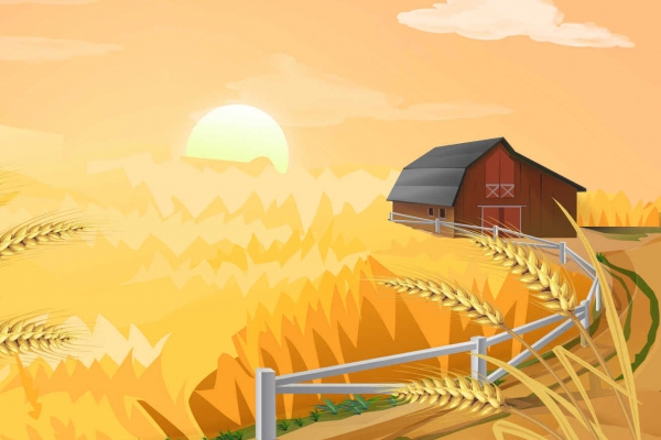 立秋后早晚會(huì)涼快嗎