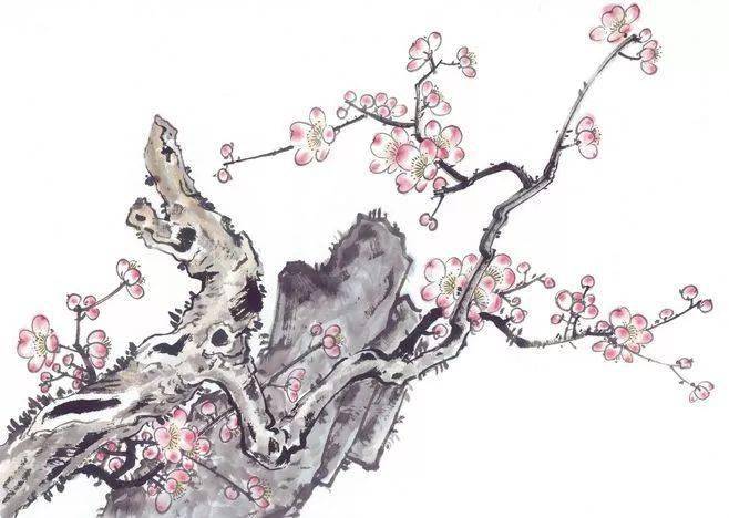 1729327556974249.jpg e154002750821088-b86c8b5e0f21e51f-a85096dcdf9be5bdd8bf7283c4f74eb2.jpg