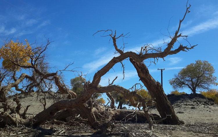 1729925519420682.jpg b3a36dfaa9390fb5-ffe333713788d324-5e108097138296a20b6969ded36dce64.jpg