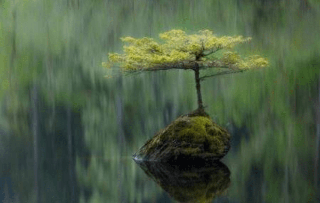 1729930879705872.jpg e154002750821088-9d28cb56ce64a01b-cf186a3c32d6321d5ca8f971dc0ee269.jpg