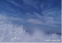 1730255678892625.png image.png