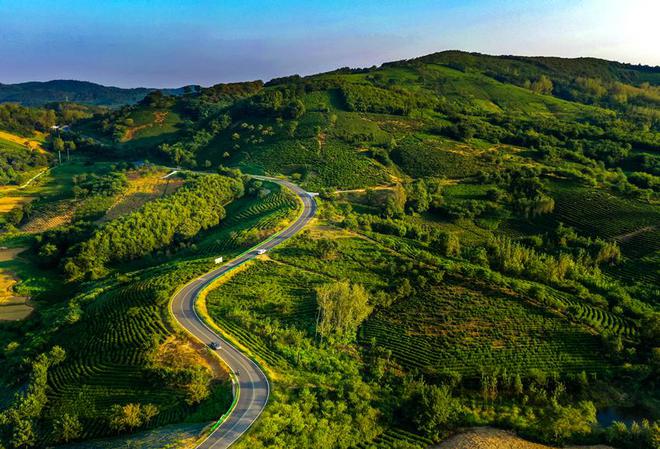 1730533253186019.jpg eeb88387bfc51b95-0208b2ba6b7ef312-234ee5ec07268d4469af8bd86686e9f6.jpg