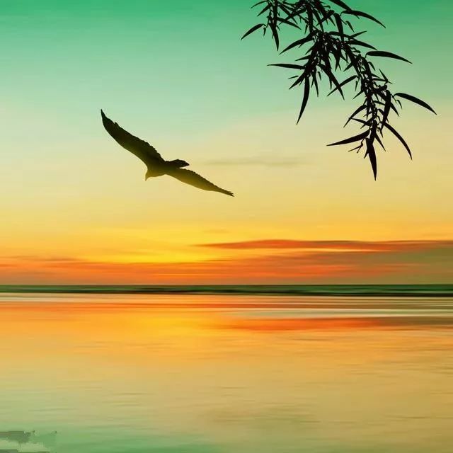 1730693537153070.jpg abe1eea3ca79fc28-c577ebdcb0f3dbcc-361b453be49d027c21b954ea23b522c0.jpg