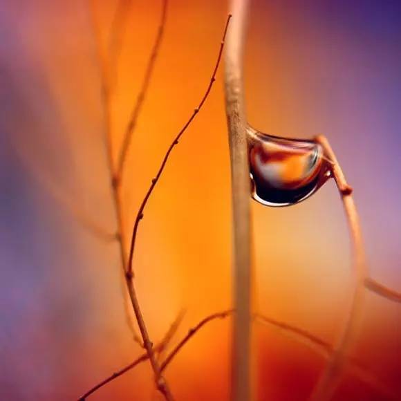 1730710391896618.jpg e154002750821088-37dc5468319bfb35-f4d6358a57fb53e999adf54510665364.jpg