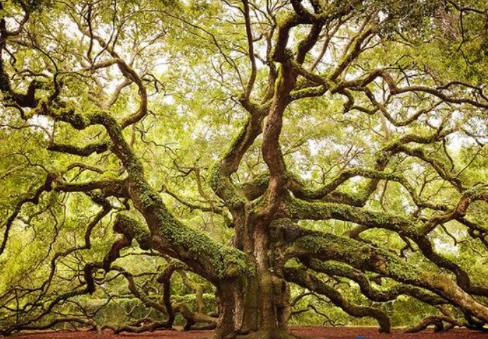 1730770976163972.jpg e4b3e26c47466ef3-b3cc6de87f44a599-c2988ff6fd67bbad58a4123c317fd0f3.jpg