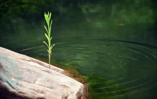 1730776949184753.jpg e79a8706efd117f6-d20c2c70387e4933-11b0a3d939d46f52a9feb15c56d03275.jpg