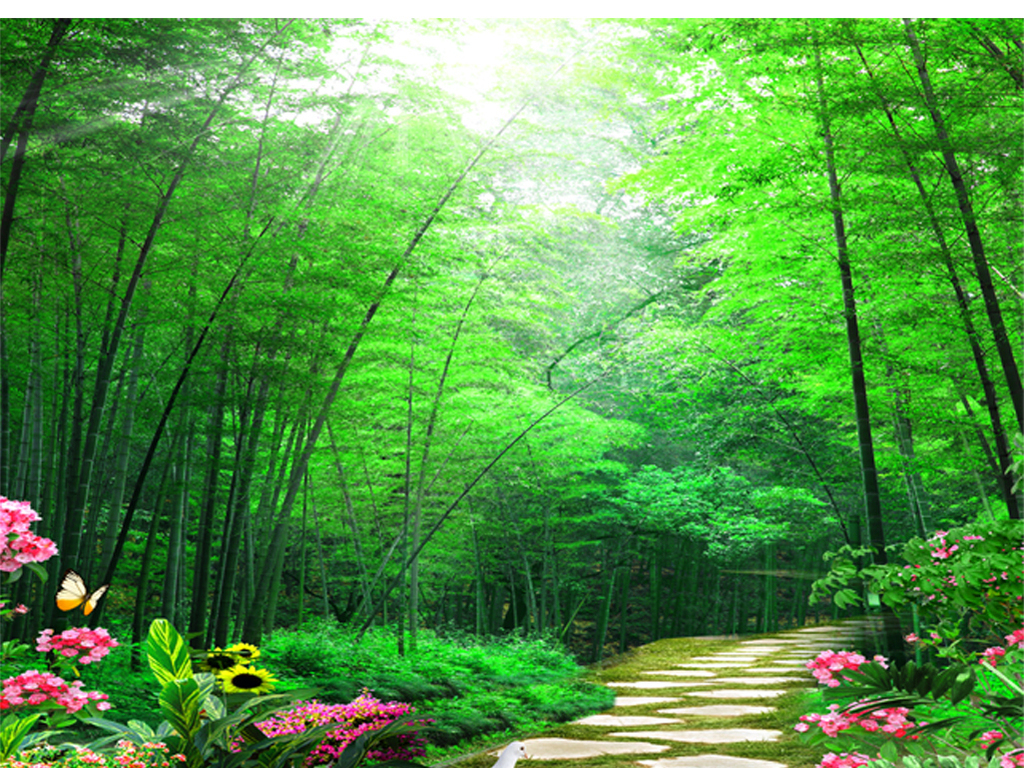 1730792173171452.jpg 74ebe0bf8b246922-e44f78b4b2d8f20a-1f7f4985a1c774f21a9ca88c2f77e658.jpg