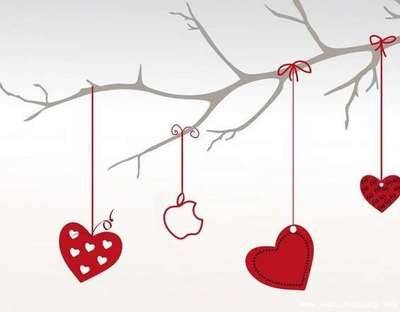 1730948008136430.jpg e154002750821088-d851cd666017830f-932cd16bc24455cc45d33890095ae077.jpg