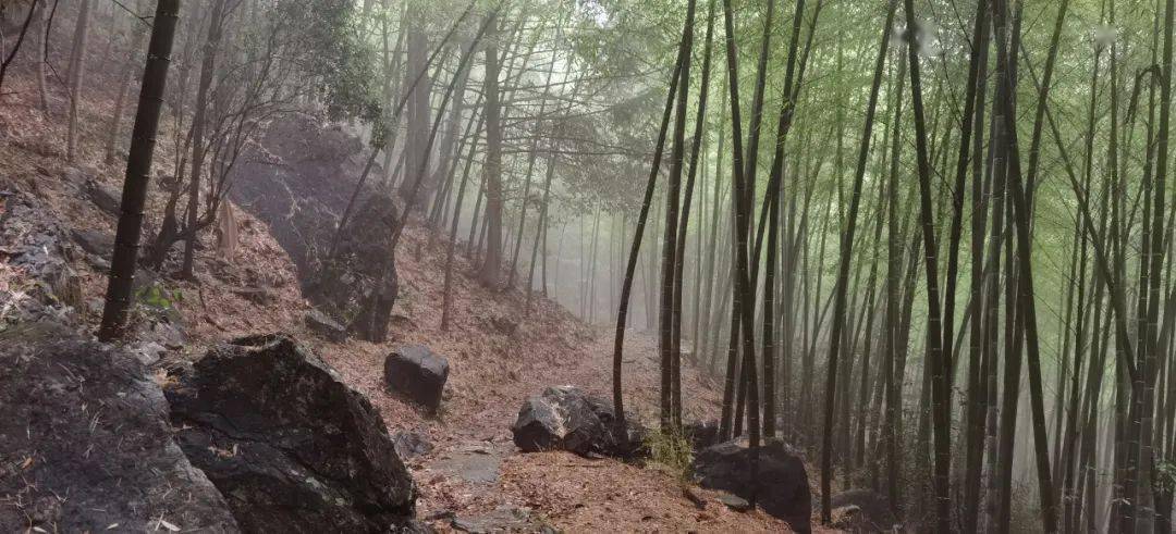 1730965793199135.jpg e154002750821088-45fbbabe9b56541b-78776d366738ce2e6c9936001e273e51.jpg