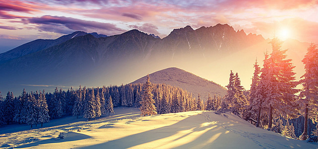 1731031513822866.jpg b37d57d0bbfab194-9429aa682b55e7aa-585d94fc65bc94b66f65bf2c1096c91e.jpg