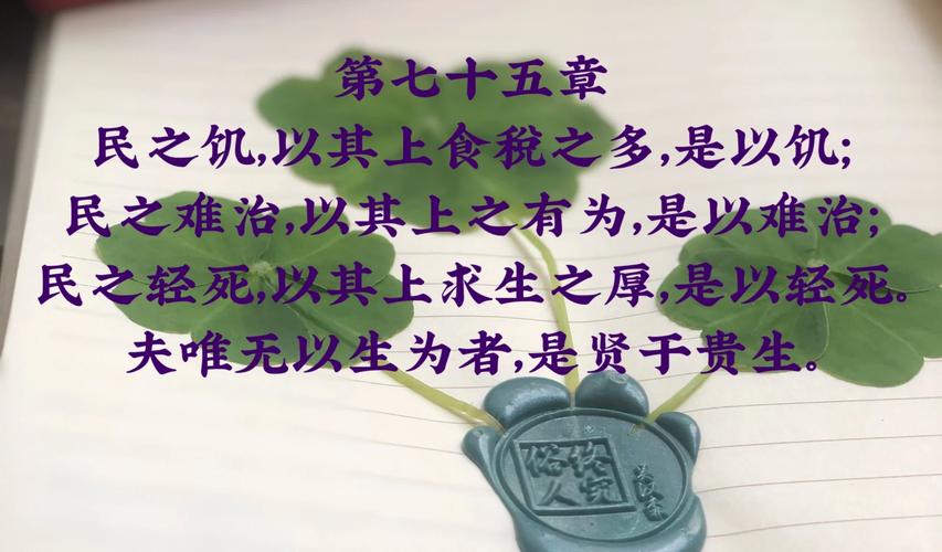 1731036017182520.jpeg a79641c5f44f99e3f38e94b63a227e9d.jpeg