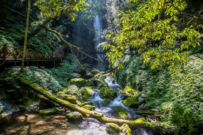 1731379385312089.jpg eeb88387bfc51b95-0208b2ba6b7ef312-40fbe91bed2faa74369fcd5330891b10.jpg