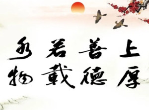 1731478946188647.jpg a6f1c6d011ec3eb8-e153abf57f1fd670-e5735503facb9a116ff171ae4c15c17e.jpg