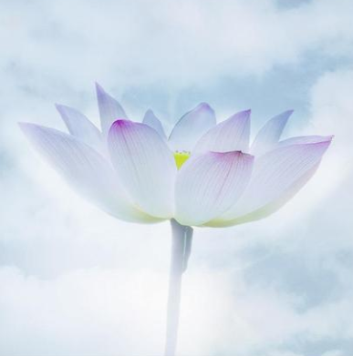 1731485226122370.jpg b3a36dfaa9390fb5-a9c0f23cd4324ece-fca42569c754f6303be9df480f0b9c11.jpg