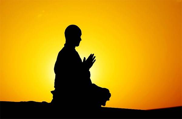 1731488422129717.jpg e154002750821088-5c44d821d8183ff6-10d9bede0bf3a2524f2d411eb434e267.jpg