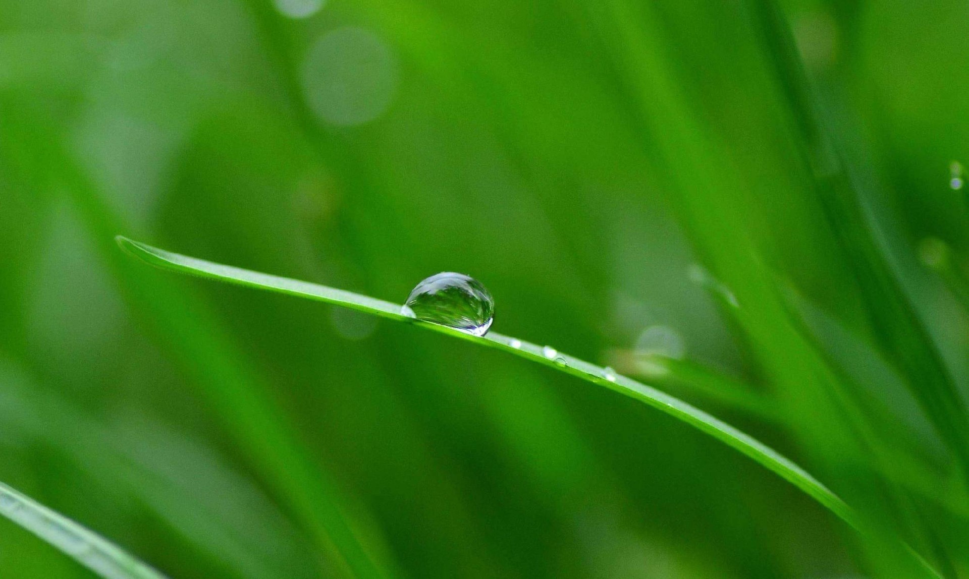 1731584908206570.jpg e154002750821088-56720cb98d21cfe2-ab15bd672dd40e2a73211f61db005242.jpg