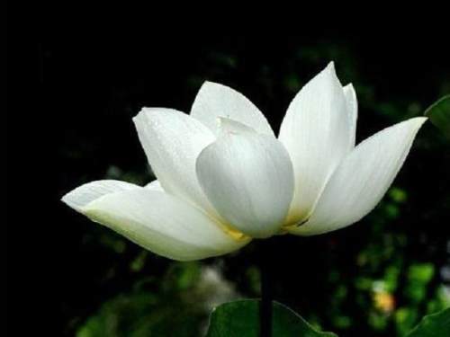 1731586042136861.jpg e79a8706efd117f6-9e2c5840f1042f9c-99342d2be2fedd6114a9ba6dfebdac64.jpg