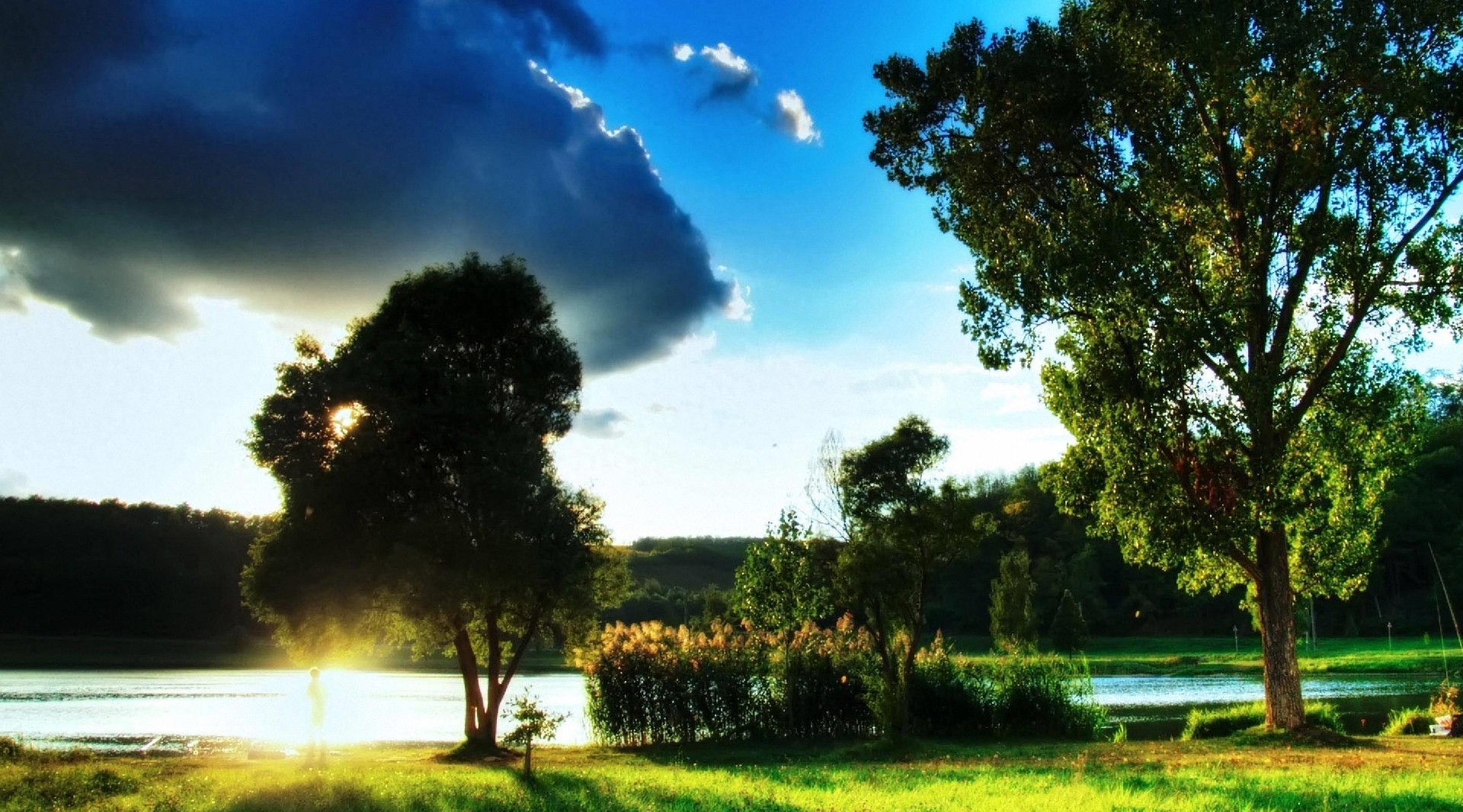 1731729850987941.jpg eeb88387bfc51b95-8d419d544cbf259b-fb3a67b391ca4864ad5b6b5b9c5c7e90.jpg