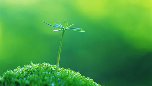 1731744502640878.jpg e79a8706efd117f6-d20c2c70387e4933-96fce27e91889d4b8990fd601db5b609.jpg