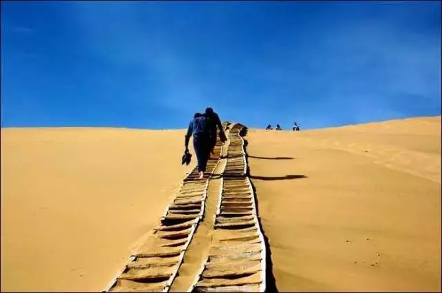 1731834480392959.jpg abe1eea3ca79fc28-c577ebdcb0f3dbcc-269c34029ba96a0be76801ab30781e31.jpg