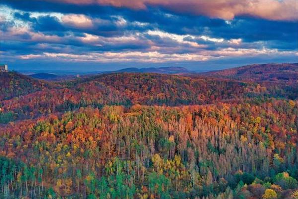 辛未日柱配壬午日柱,合適嗎