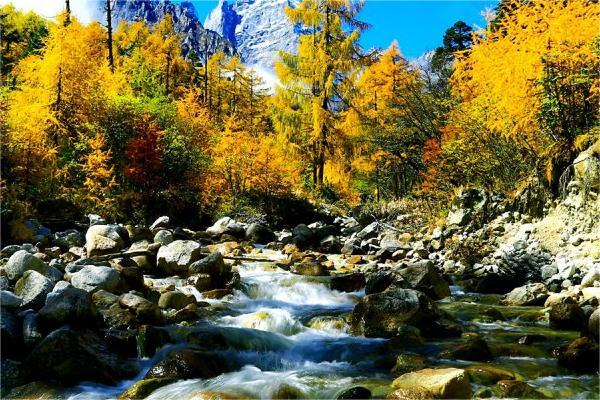 甲寅日亥月生,命運吉否