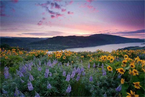 八字冠帶知識(shí)探秘