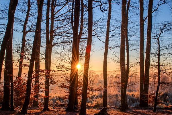 丙戌日柱配己卯日柱,合適嗎