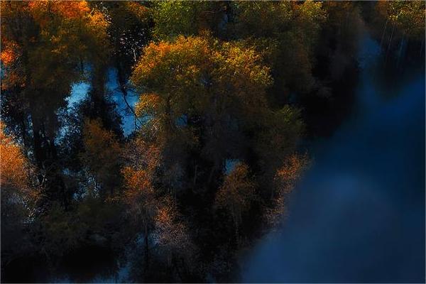 山下火與松柏木搭配如何,婚姻前景分析